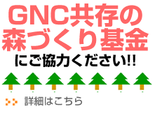 �f�m�b�����̐X���